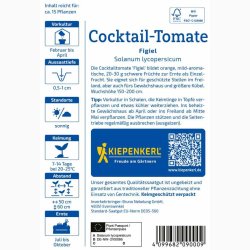 Cocktailtomate 'Figiel' - Tomatfr