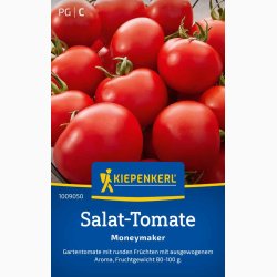 Salat-Tomate Moneymaker - Salattomat 'Moneymaker' - Tomatfr