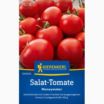Salat-Tomate Moneymaker - Salattomat 'Moneymaker' - Tomatfr