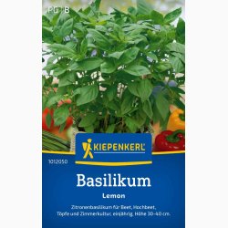 Basilikum 'Lemon' &#127807;&#127819;