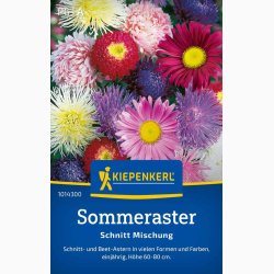 Sommer aster cut blanding