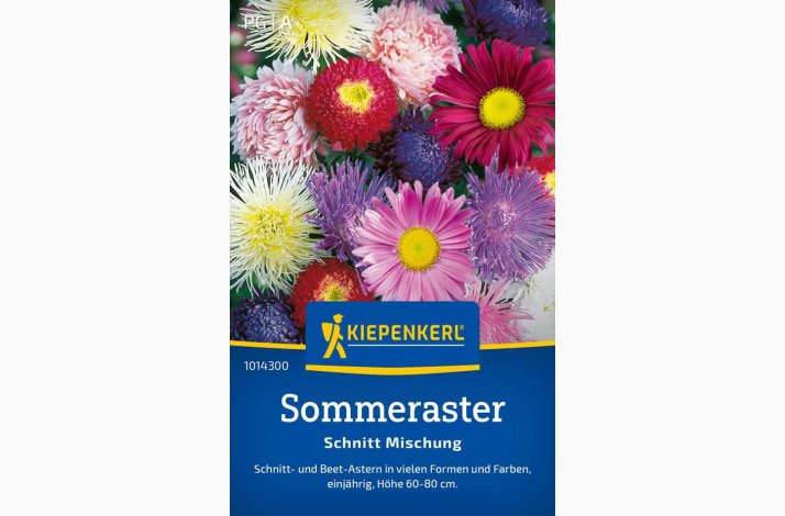 Sommer aster cut blanding