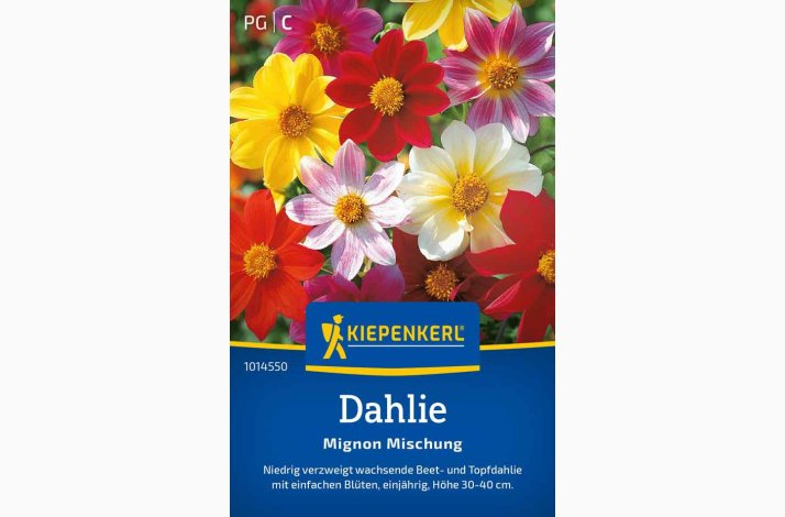 Dahlia Mignon miks, Dahlia x hortensis