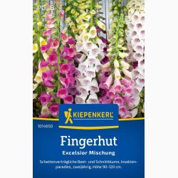 Digitalis purpurea Excelsior Mischung - Fingerbl