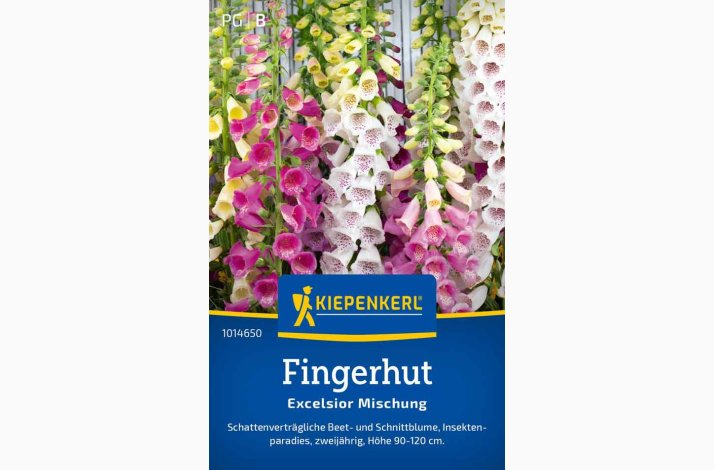 Digitalis purpurea Excelsior Mischung - Fingerbl