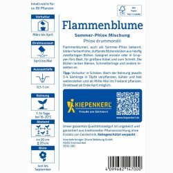 Phlox drummondii - Sommerfloks blanding  - Flammenblume Sommer-Phlox