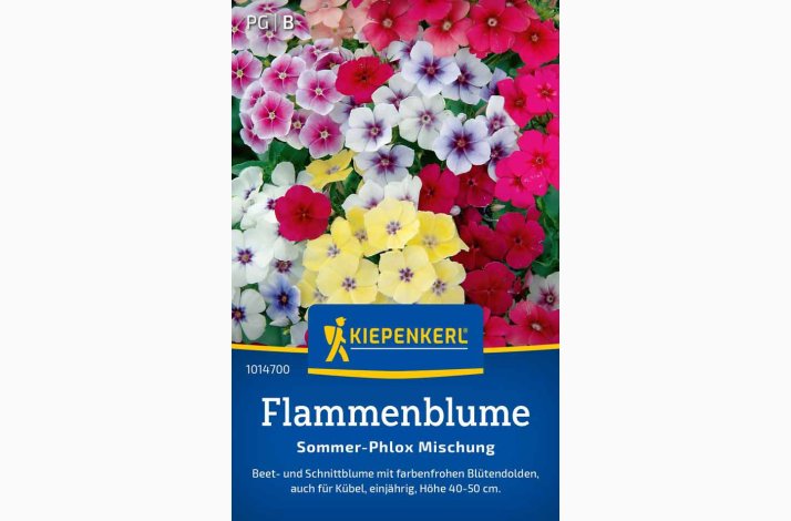 Phlox drummondii - Sommerfloks blanding  - Flammenblume Sommer-Phlox