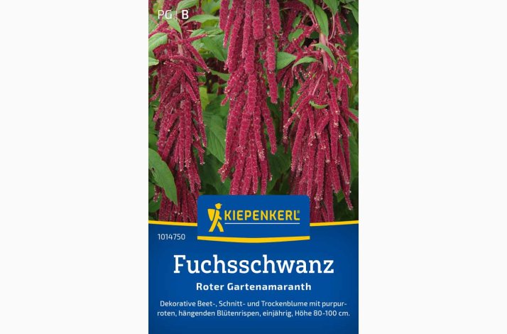 Rd rvehale 'Roter Gartenamaranth'
