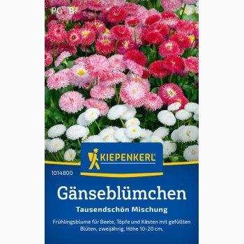 Tusindfryd 'Tausendschn-Mix'