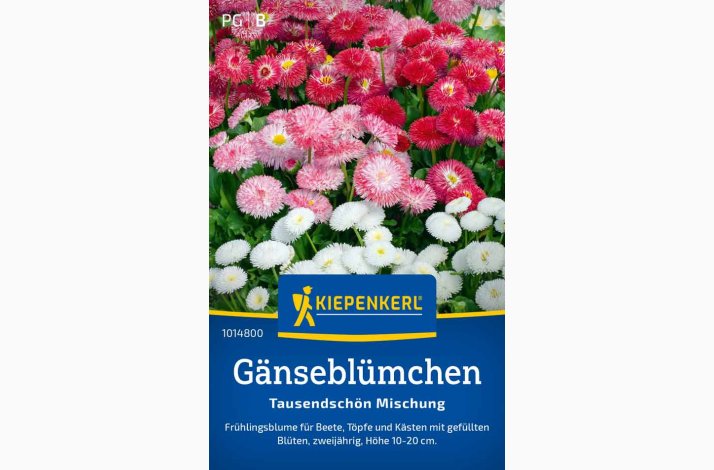 Tusindfryd 'Tausendschn-Mix'