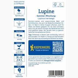 Lupinus hartwegii blanding Sommer - Lupine Sommer