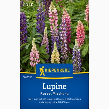 Staudelupin � Lupinus polyphyllus �Russel mix� � Fr�