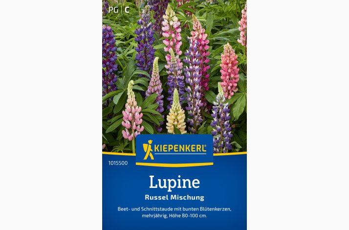 Staudelupin � Lupinus polyphyllus �Russel mix� � Fr�
