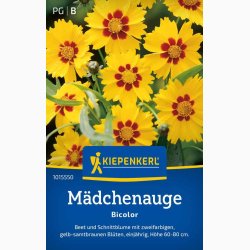 Coreopsis tinctoria pige�je tofarvet Sk�nheds�je - M�dchenauge Bicolor  