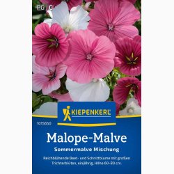 Malope trifida Trompetkatost miks - Malope-Malve Sommermalve
