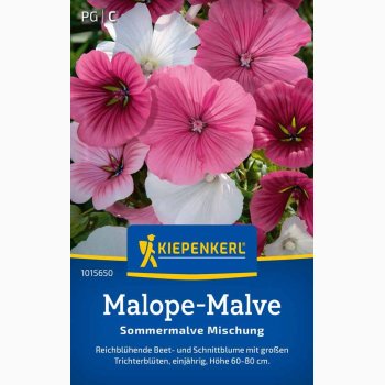 Malope trifida Trompetkatost miks - Malope-Malve Sommermalve