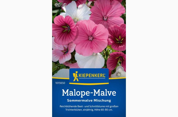 Malope trifida Trompetkatost miks - Malope-Malve Sommermalve