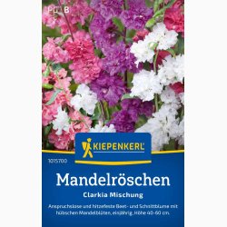 Clarkia unguicula Mlleblomst - Mandelrschen (Mandelbuketter) Clarkia