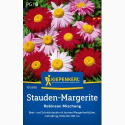 Tanacetum coccineum Rosenkrav miks -Stauden-Margerite Robinson