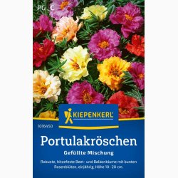 Portulakrschen Gefllte Mischung fyldte Portulakrose, blanding