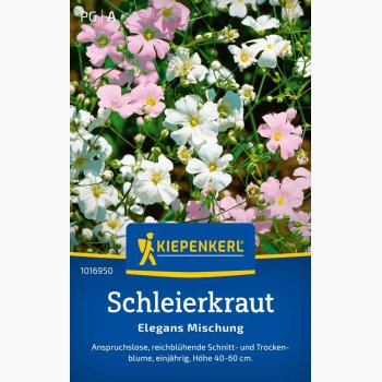 Gypsophila elegans Brudeslr miks - Schleierkraut Elegans