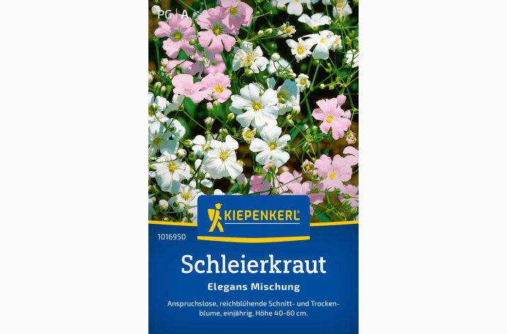 Gypsophila elegans Brudeslr miks - Schleierkraut Elegans