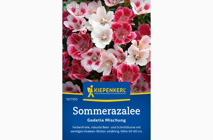 Clarkia amoena Atlaskblomst - Sommer Azalea Godetia Mix