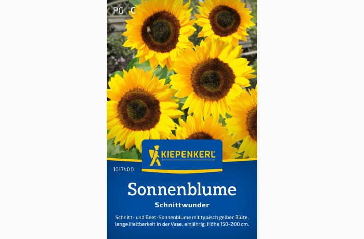 Sonnenblume Schnittwunder - Solsikke