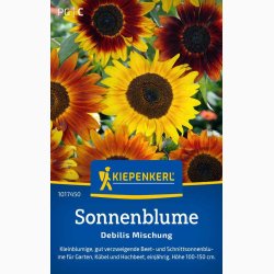 Helianthus debilis - Sonnenblume Debilis Mischung - lille blomsterblanding - solsikke