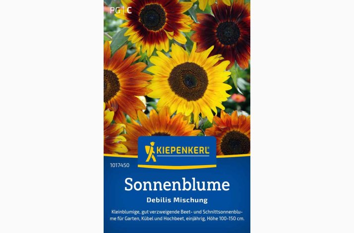 Helianthus debilis - Sonnenblume Debilis Mischung - lille blomsterblanding - solsikke