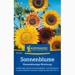 Helianthus annuus "Riesenblumige"  miks Kmpe solsikke