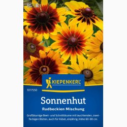 Solhat Rudbeckia hirta miks - Sonnenhut Rudbeckien