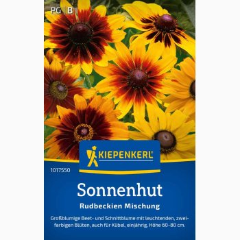Solhat Rudbeckia hirta miks - Sonnenhut Rudbeckien
