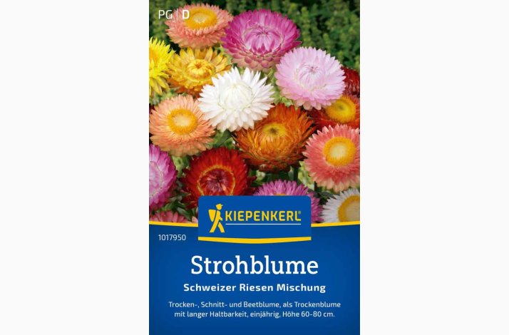 Xerochrysum bracteatum miks Evighedsblomst - Strohblume Schweizer Riesen  