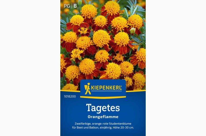 Tagetes patula Orangeflamme Fljlsblomst - Tagetes Orangeflamme