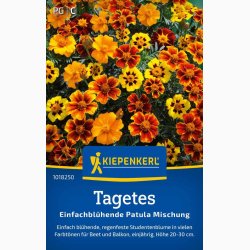 Tagetes patula enkelblomst blanding Fljlsblomst - Tagetes Einfachblhende Patula