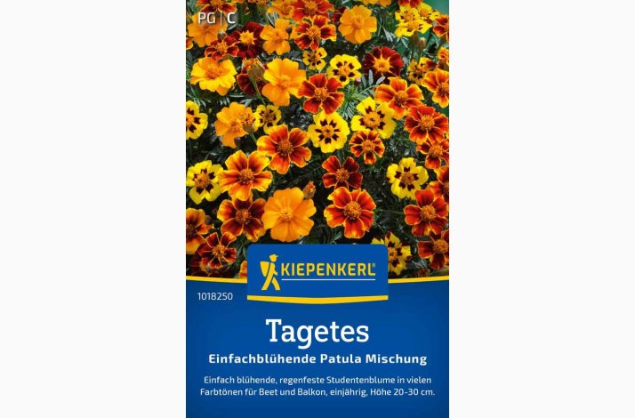 Tagetes patula enkelblomst blanding Fljlsblomst - Tagetes Einfachblhende Patula