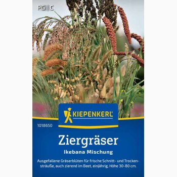 Prydgrs miks - Ziergrser Ikebana