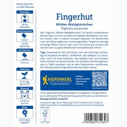 Fingerb�l � Digitalis purpurea �Wildes Waldgl�ckchen� � Fr�