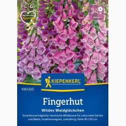 Fingerb�l � Digitalis purpurea �Wildes Waldgl�ckchen� � Fr�