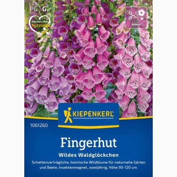 Fingerb�l � Digitalis purpurea �Wildes Waldgl�ckchen� � Fr�