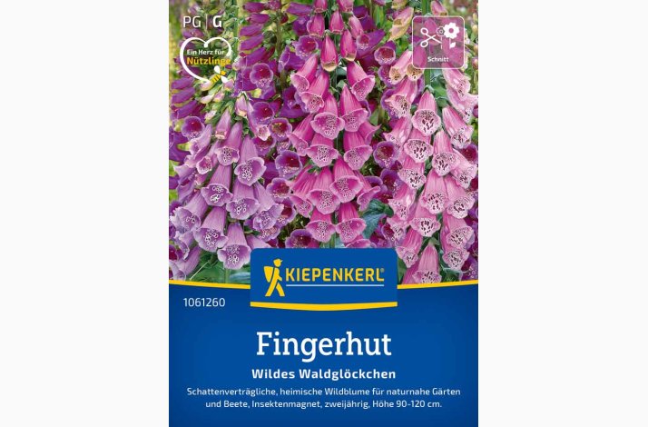 Fingerb�l � Digitalis purpurea �Wildes Waldgl�ckchen� � Fr�