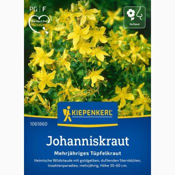 Hypericum Perforatum - Johannesurt, prikbladet perikon, Flerrig Tpfelkraut, 