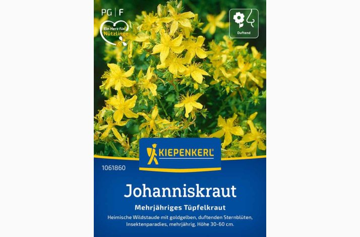 Hypericum Perforatum - Johannesurt, prikbladet perikon, Flerrig Tpfelkraut, 