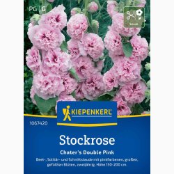 Stockrose 'Chaters Double Pink' -Stokrose