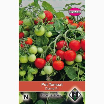 Tomatfr Donna F1 - Potte tomat, Busktomat (25 fr)