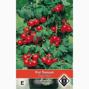Tomatfr Ruby Red - Potte tomat, Busktomat (pose 100 fr)