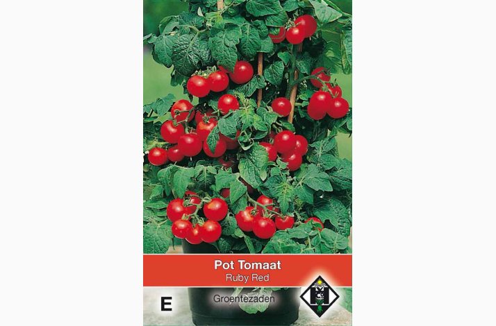 Tomatfr Ruby Red - Potte tomat, Busktomat (pose 100 fr)