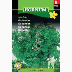 Koriander, Marino (min. 60 fr�)