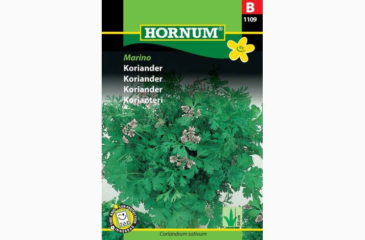 Koriander, Marino (min. 60 fr�)